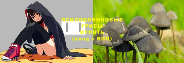 гидропоника Арсеньев