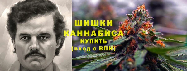 твердый Аркадак